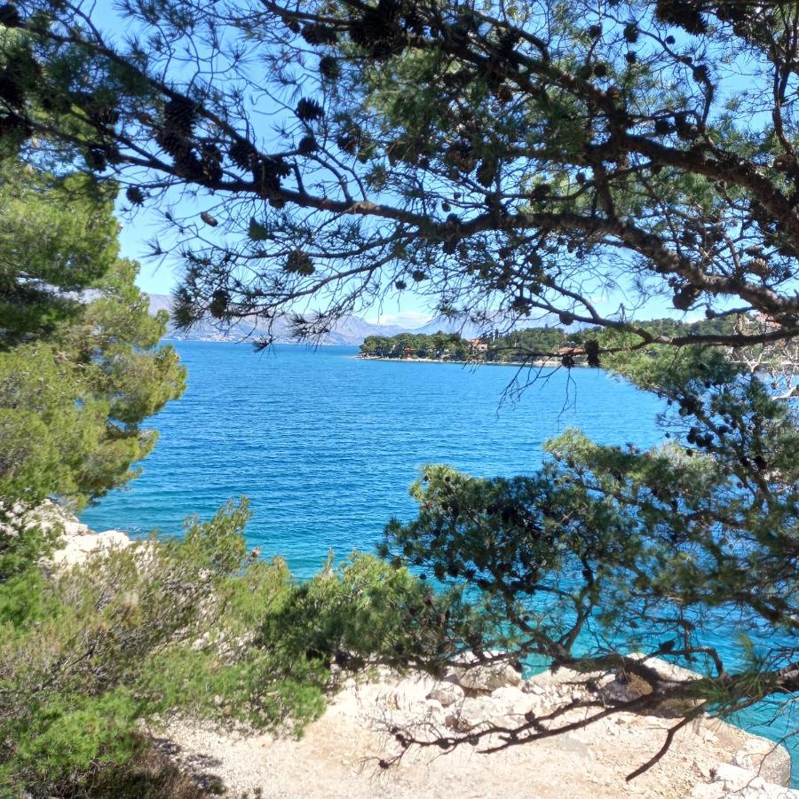 Kuca Za Odmor Skalina - Sea View Villa Splitska Buitenkant foto