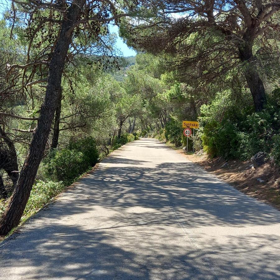 Kuca Za Odmor Skalina - Sea View Villa Splitska Buitenkant foto