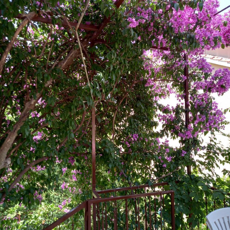Kuca Za Odmor Skalina - Sea View Villa Splitska Buitenkant foto