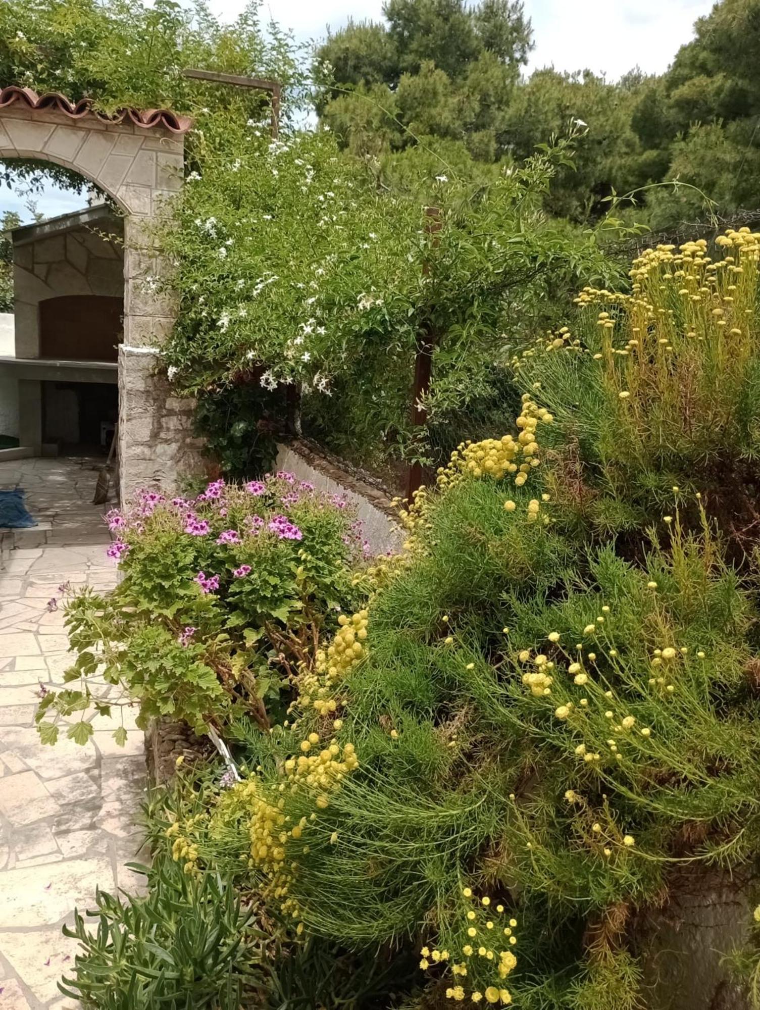 Kuca Za Odmor Skalina - Sea View Villa Splitska Kamer foto